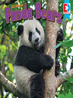 cover image of All About Pandas